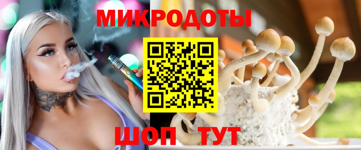 Галлюциногенные грибы Psilocybine cubensis Сорочинск